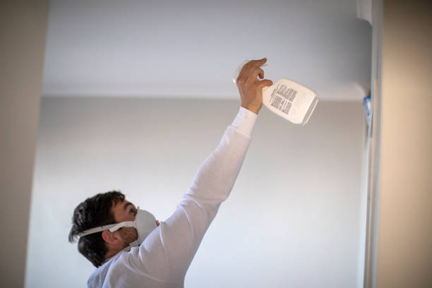 Best Toxic Mold Removal  in Caledonia, MN