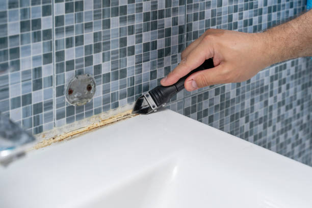 Certified Mold Removal in Caledonia, MN