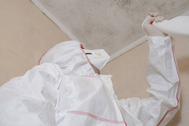 Best Residential Mold Removal  in Caledonia, MN